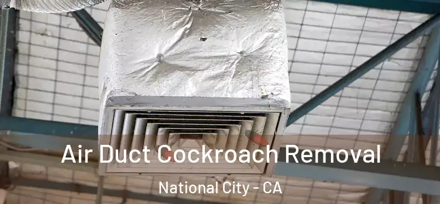  Air Duct Cockroach Removal National City - CA