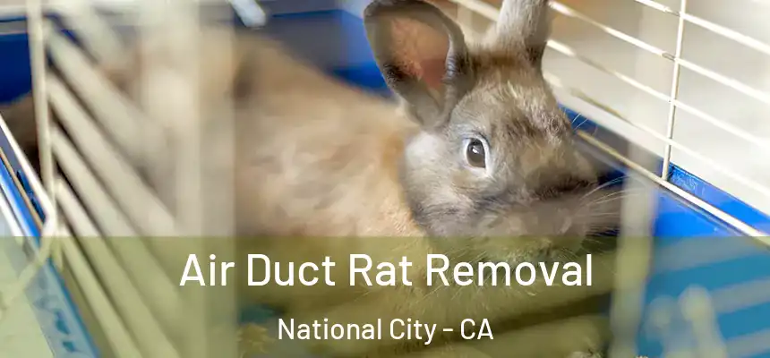  Air Duct Rat Removal National City - CA