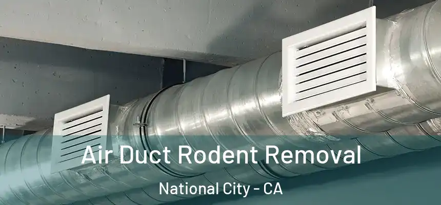 Air Duct Rodent Removal National City - CA