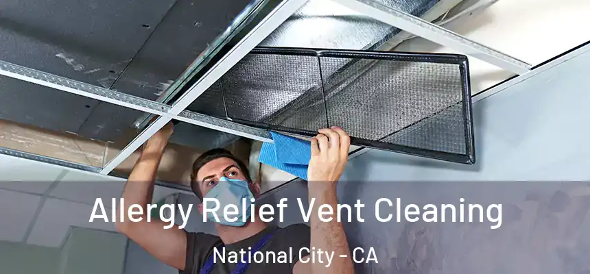  Allergy Relief Vent Cleaning National City - CA