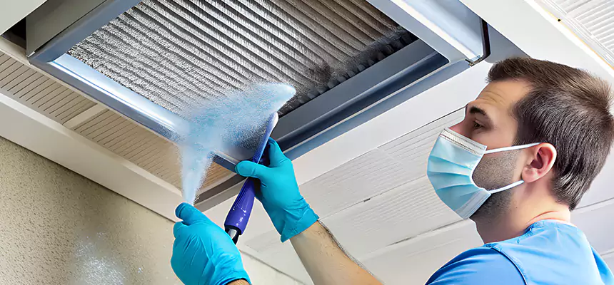 Proactive Dryer Vent & Auxiliary Duct Pollen Cleanup in National City, CA