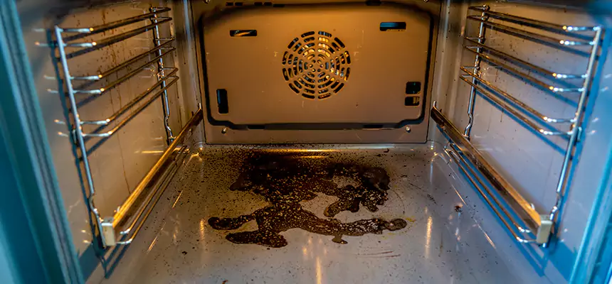 Our Dryer Vent Mold Cleaning Services in National City, CA