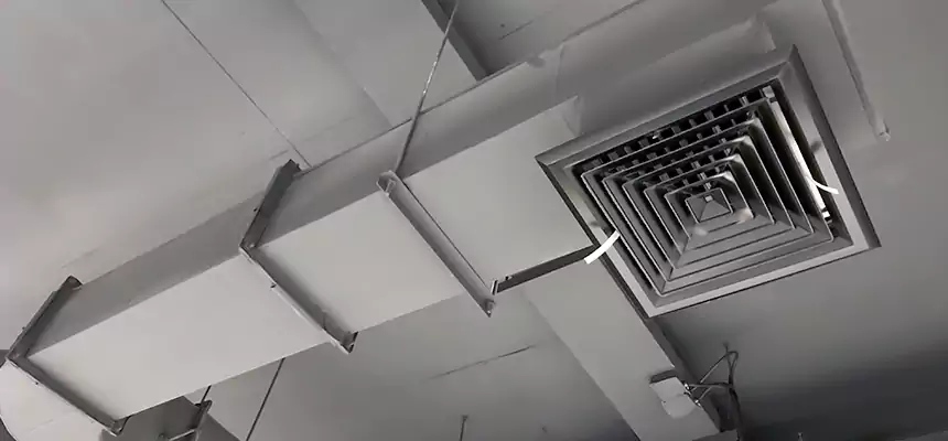 Our Pest Removal From Ducts Services in National City, CA