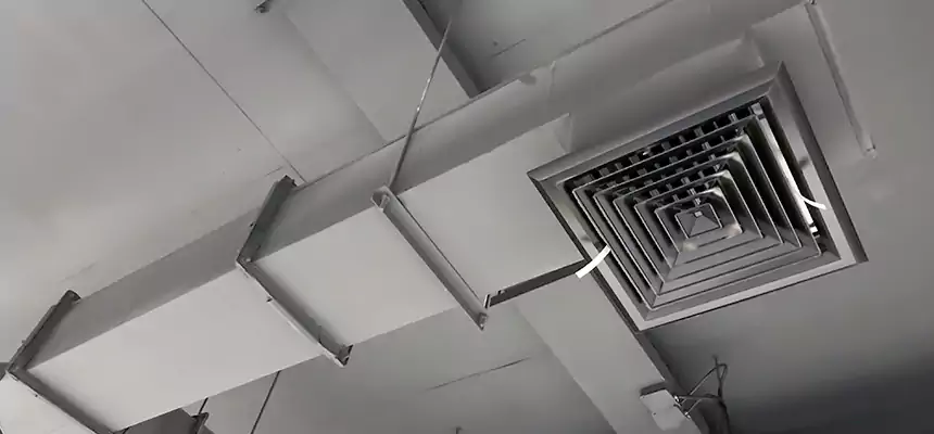 Our Rodent Droppings In Vents Services in National City, CA