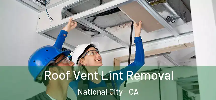 Roof Vent Lint Removal National City - CA