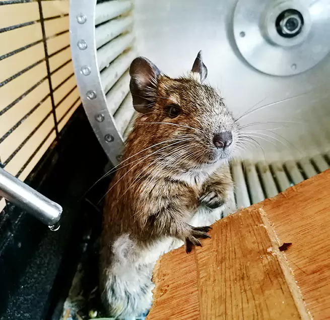 Why Homeowners & Businesses Trust Us National City, CA