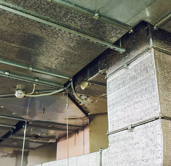 Why Homeowners & Businesses Trust Us in National City, CA?